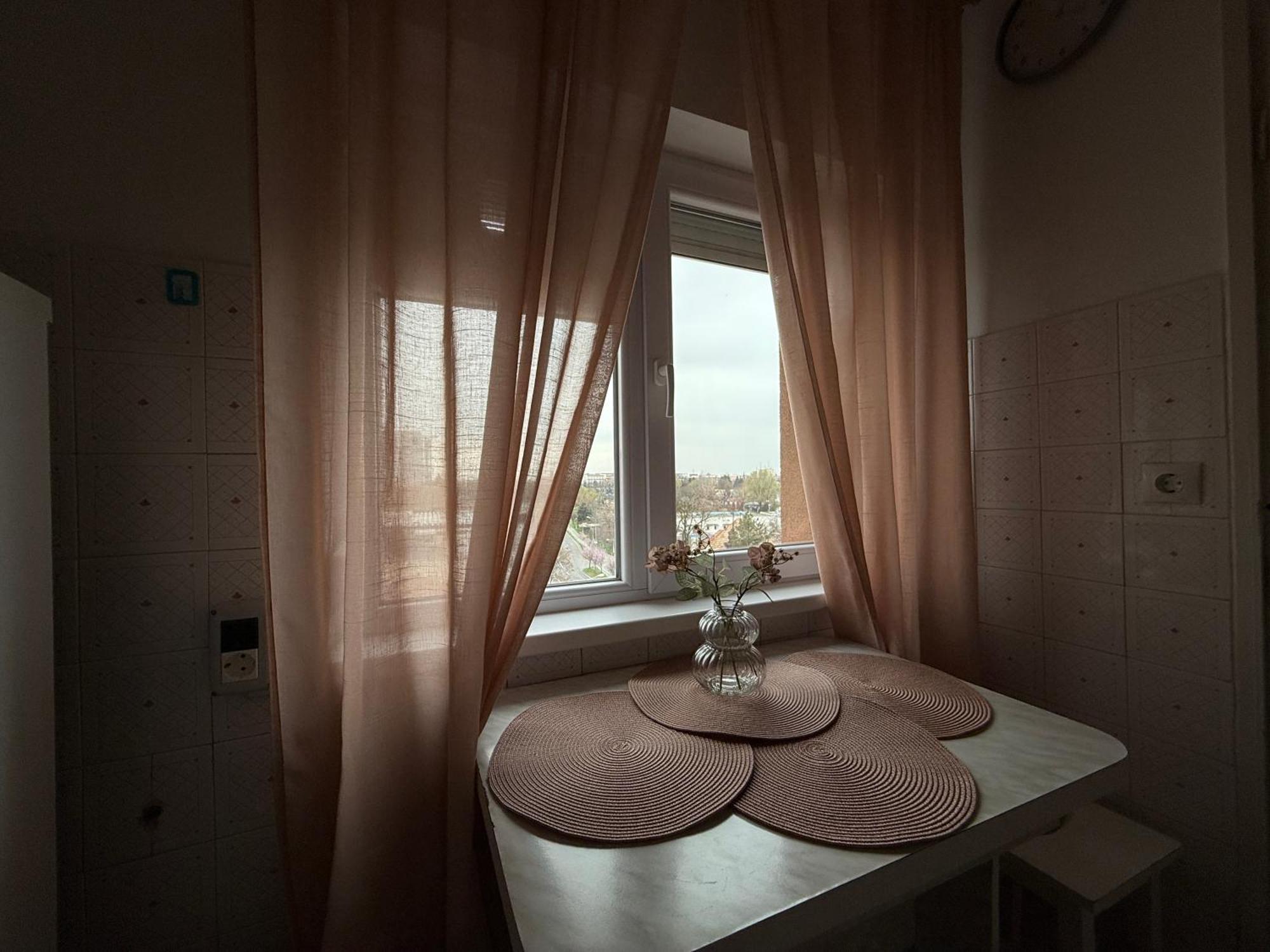 Campus Comfort Timişoara