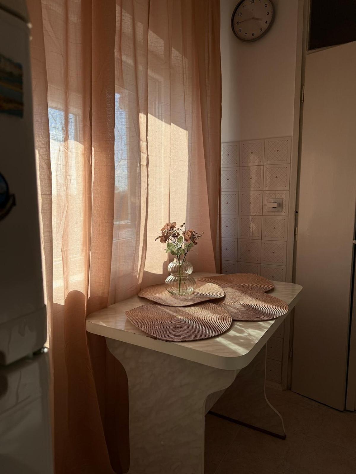 Campus Comfort Timişoara